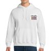 DryBlend ® Pullover Hooded Sweatshirt Thumbnail