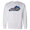DryBlend® Crewneck Sweatshirt Thumbnail