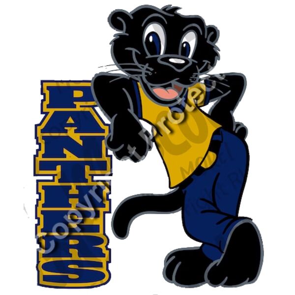 Panthers Thumbnail